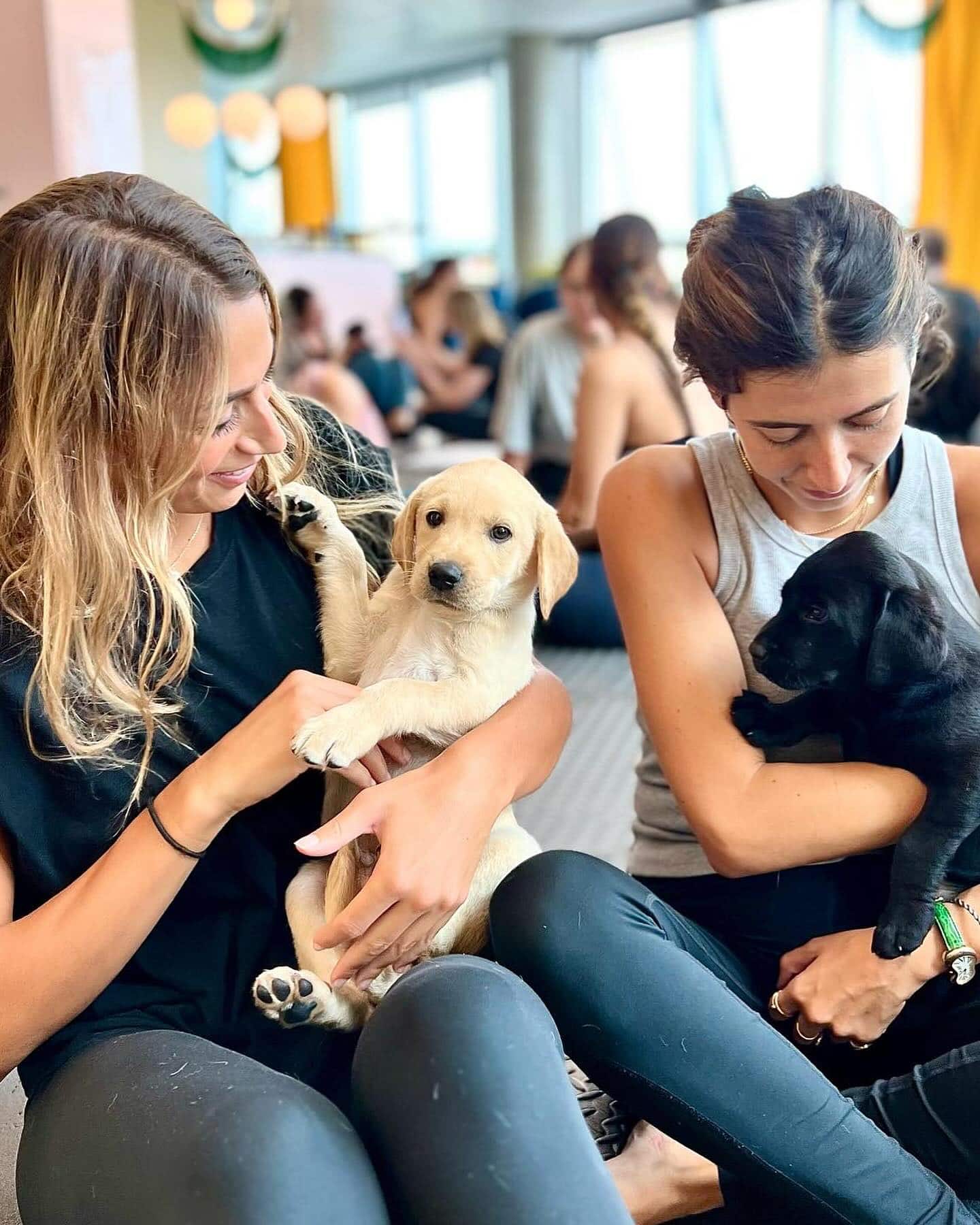 pupplies and yoga, 2 women cuddling puppies wearing yoga clothes