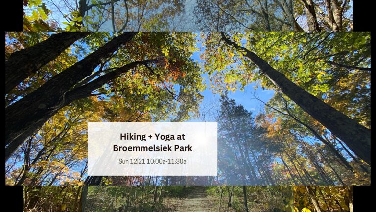 Hiking + Yoga in the Park @ Brommelsiek Park