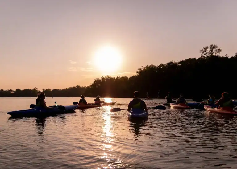 Wilderness Kayak Tours of Simpson Park