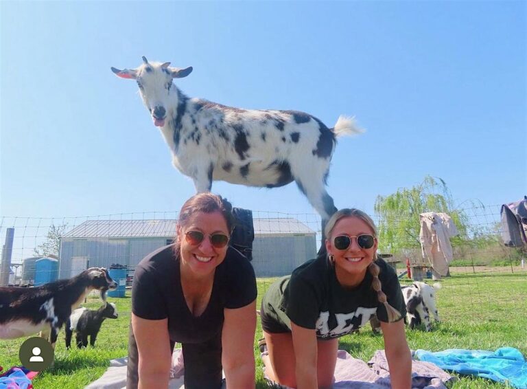 Goat Yoga at Alton Farmers Market