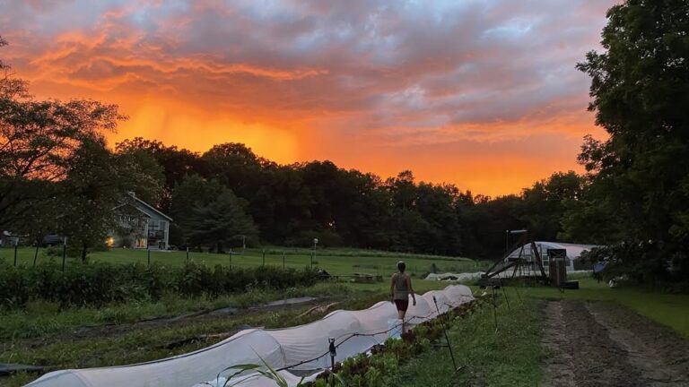 Sunset Farm Tour + Yoga & Sound Healing