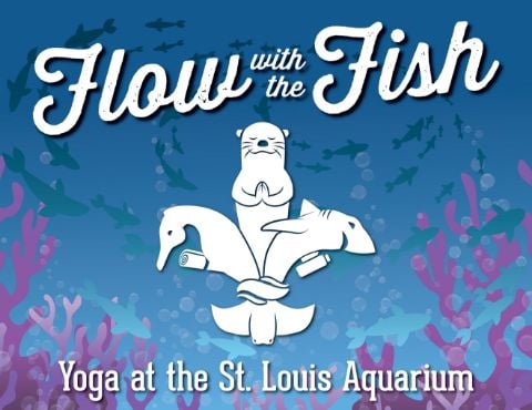 Flow with the FISH