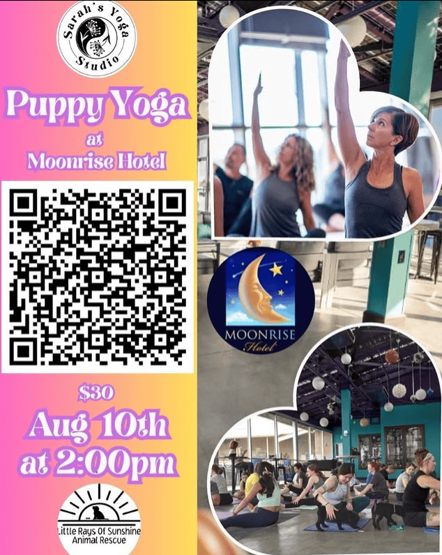 Puppy Yoga at Moonrise Hotel