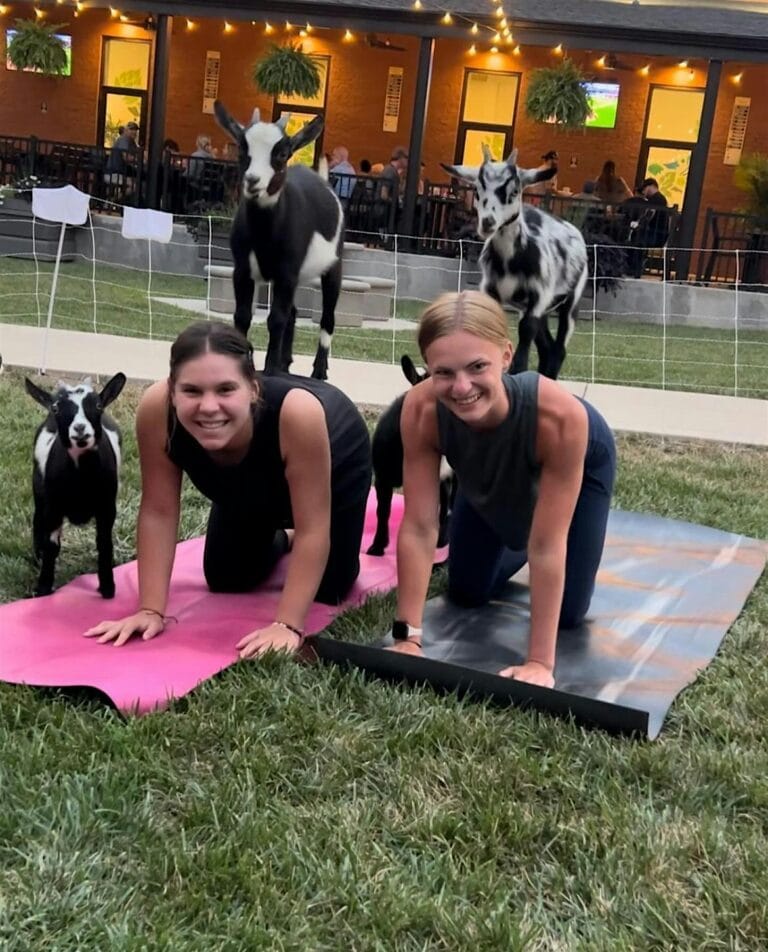 Baby Goat Yoga @ Wellness Way