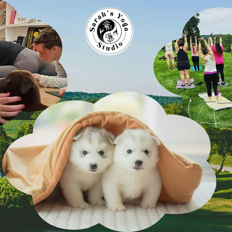 Puppy Yoga at Chandler Hill Vineyards