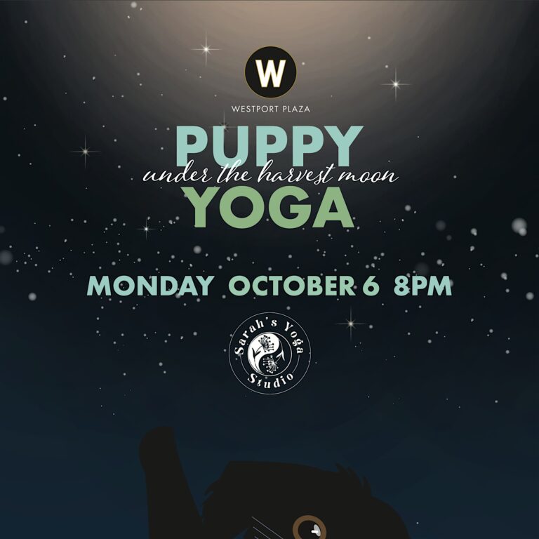 Puppy Yoga Under the Harvest Moon