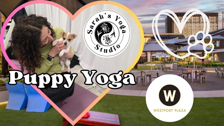 Puppy Yoga at Westport Bark