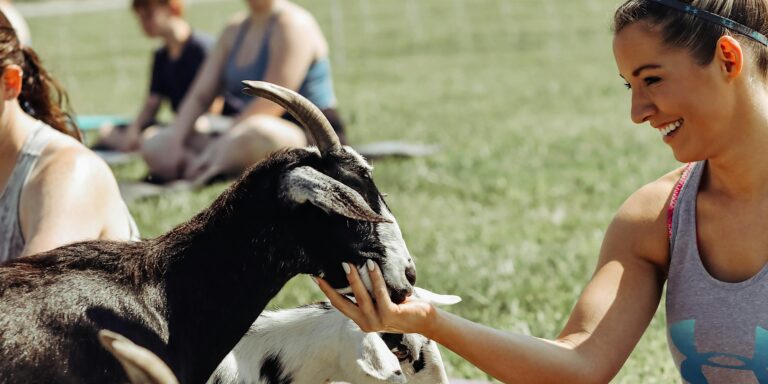 Goat Yoga at Chandler Hill Vineyard