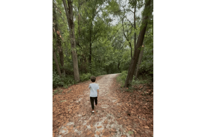 small boy shown walking along a natural hiking trail with tall green trees and lots of golden brown leaves fallen along the trail.