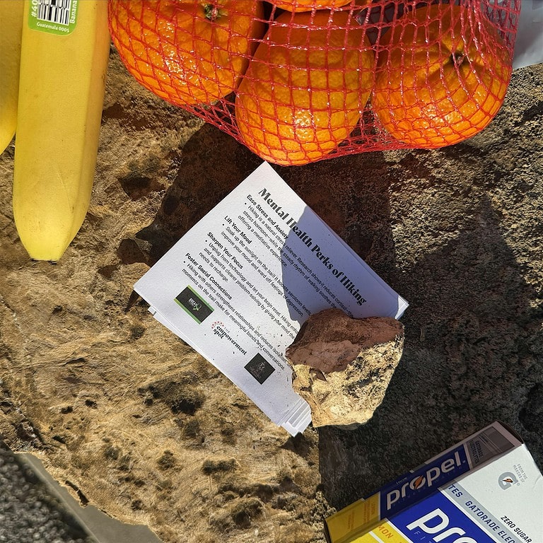 Grounded Resilience: A First Responders’ Wellness Hike