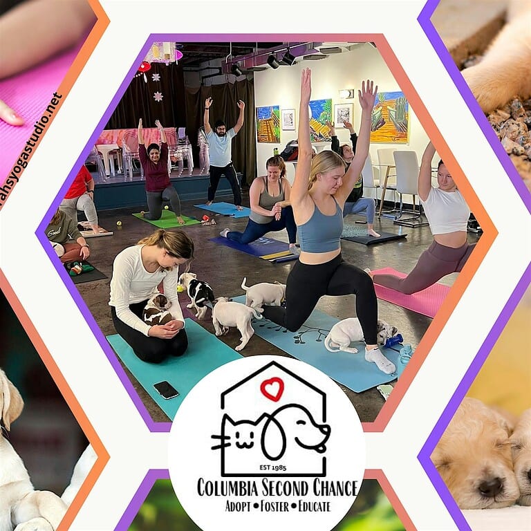 Puppy Yoga at Hexagon Alley with Sarah’s Yoga Studio