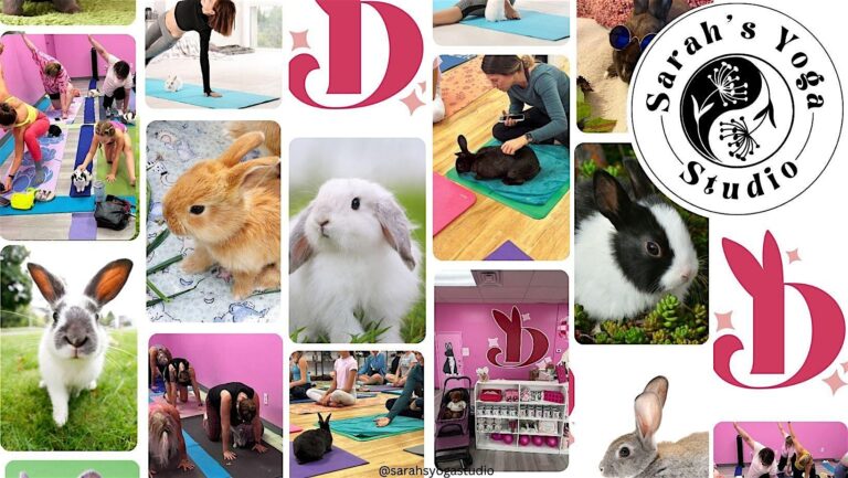 Bunny Yoga at Dolly Dream Home with Sarah’s Yoga Studio