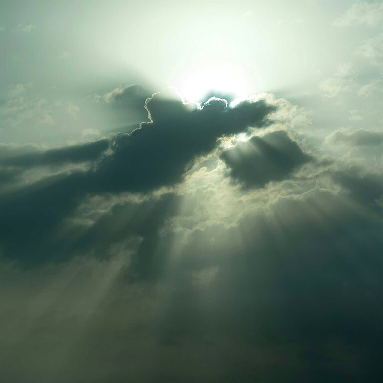 Between Breathe and Light: A Somatic Movement Workshop