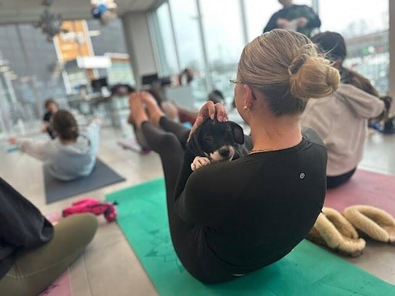 Puppy Yoga at Ciao Chow with Sarah’s Yoga Studio