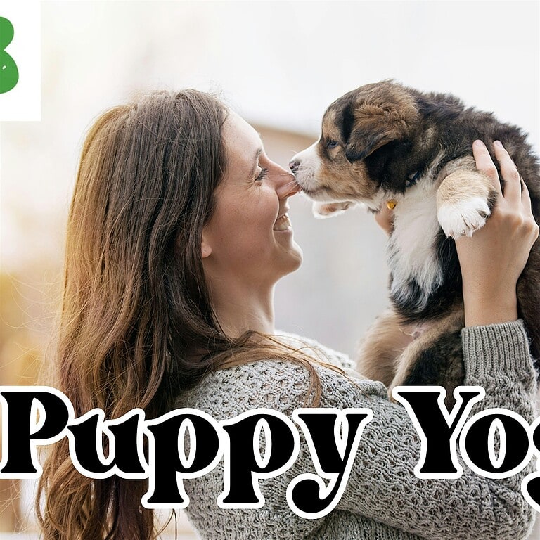 Puppy Yoga at Ciao Chow with Sarah’s Yoga Studio