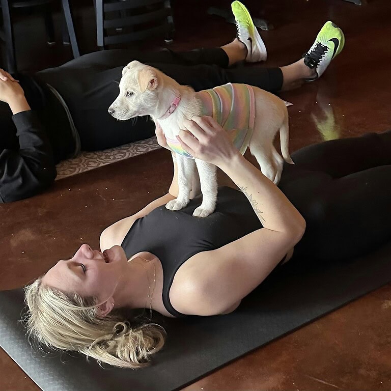 Puppy Yoga at Third Wheel Brewing