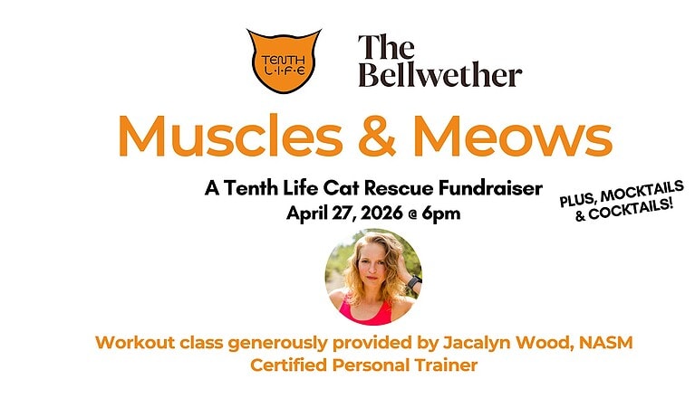 Muscles, Meows, & Mocktails –  A Fundraiser for Tenth Life Cat Rescue