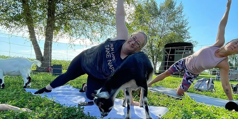 Goat yoga @ Waterloo Monroe Farmers Market