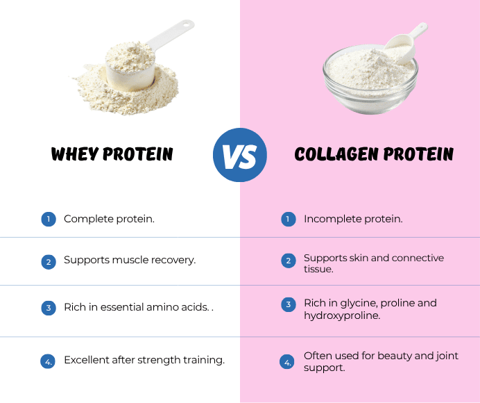 infographic explaining the difference between whey protein and collagen protein